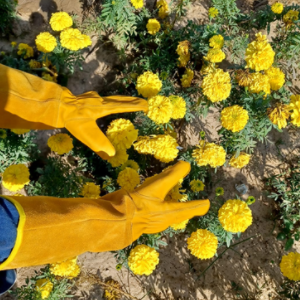 Heavy Duty Gardening Gloves